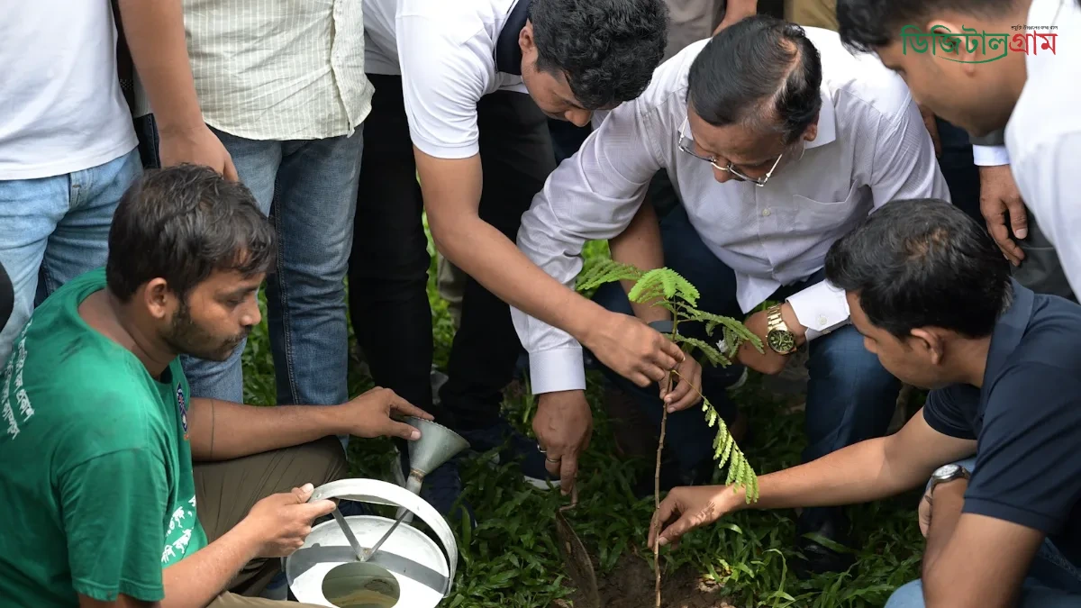 ঢাকা বিশ্ববিদ্যালয়ে ডিএসসিসির ৫০০ গাছের চারা রোপণ কর্মসূচি, সবুজ নগর গড়ার আহ্বান