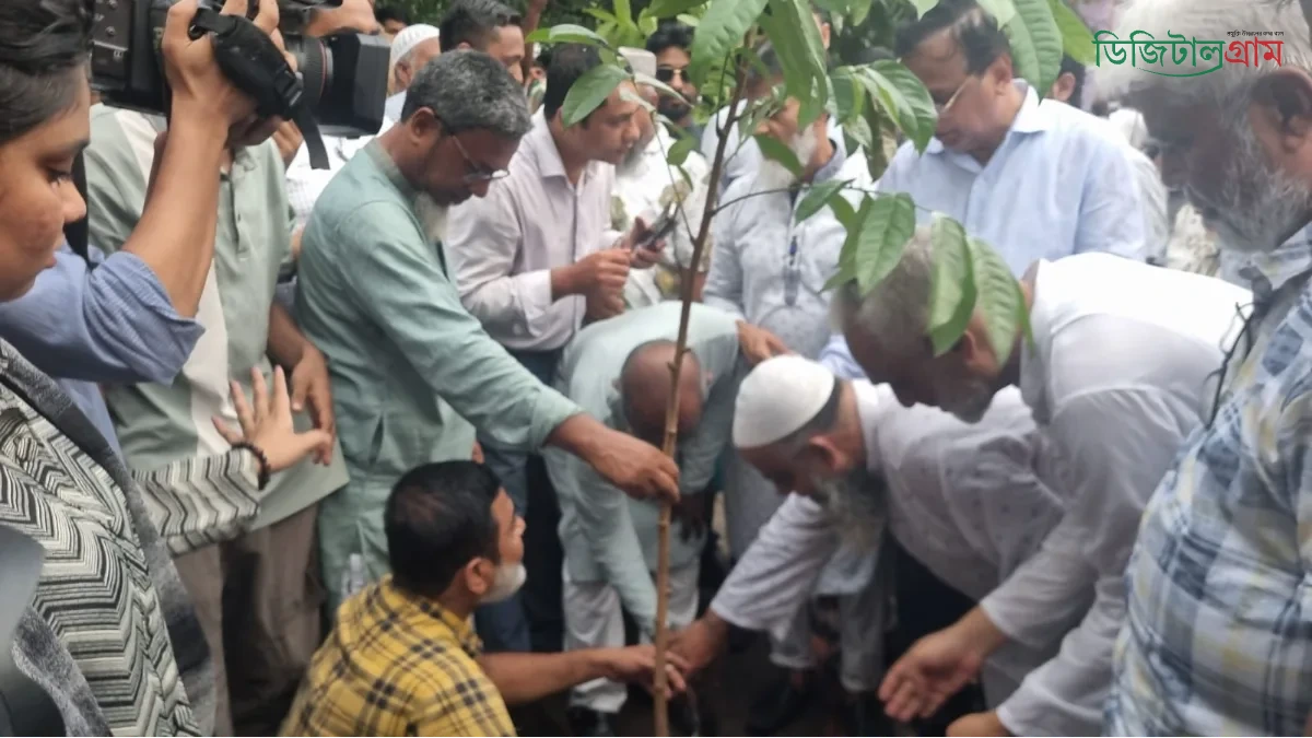 ডিএসসিসির প্রশাসক আব্দুস সালাম বৃক্ষ রোপন
