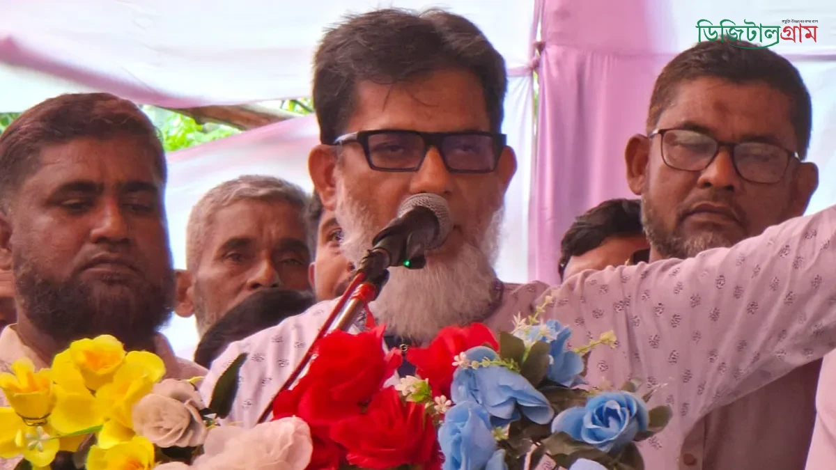 বৃক্ষ রোপন ডিএসসিসির