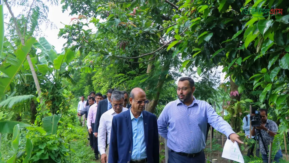 রাজউকের চেয়ারম্যান